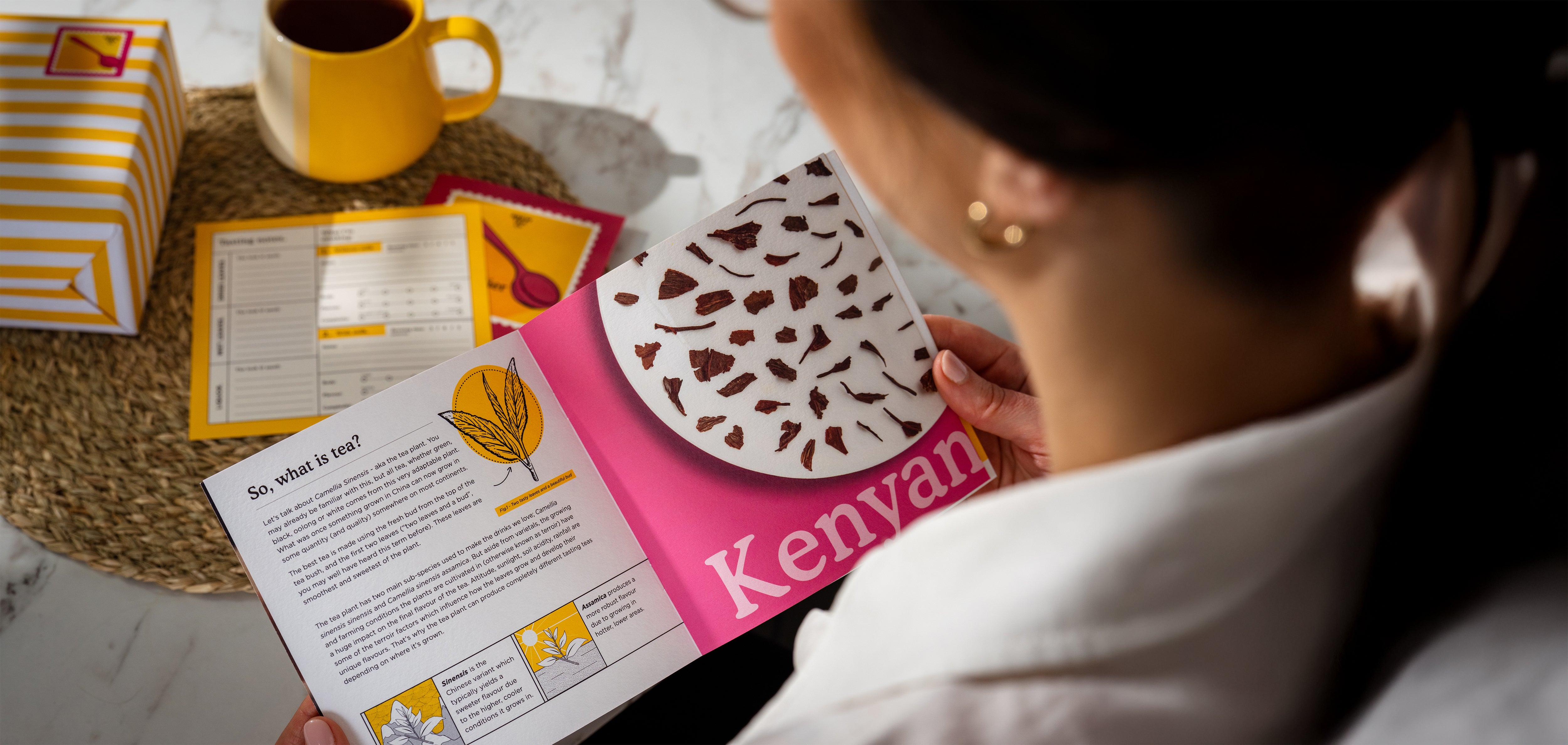 The Sommelier - Test